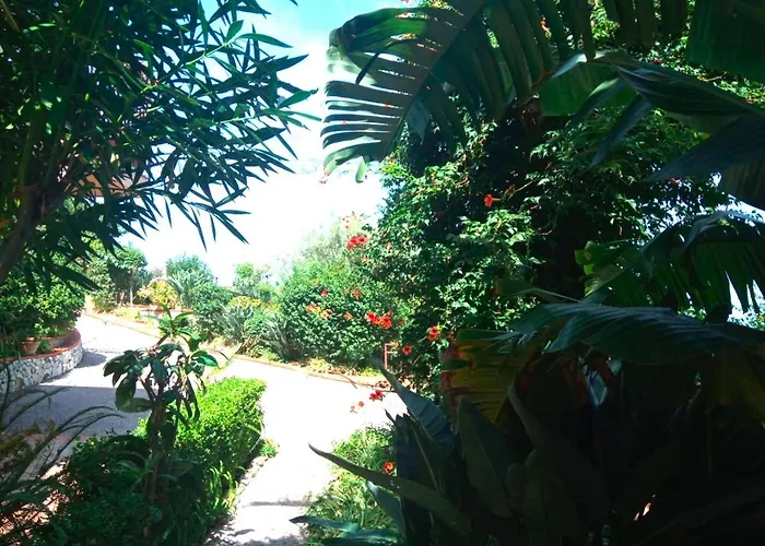 Sea View Garden Daire