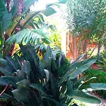 Sea View Garden Чефалу
