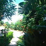 Sea View Garden Apartment