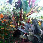 Sea View Garden Apartment