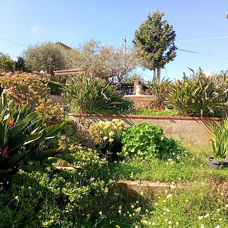 Sea View Garden Апартаменты *