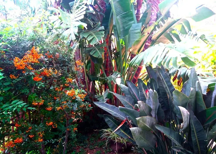 Sea View Garden Apartman